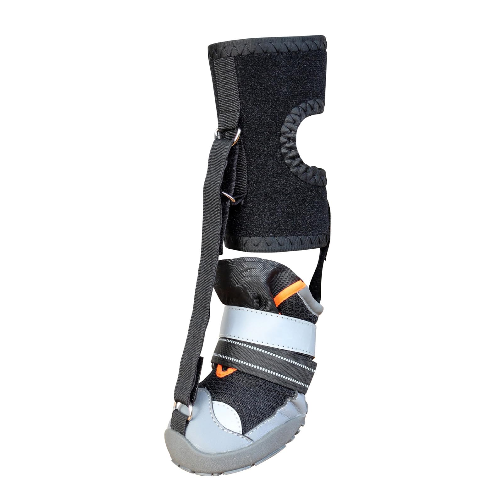 Botte lestée pour chien et chaussures antidérapantes pour protection des pattes