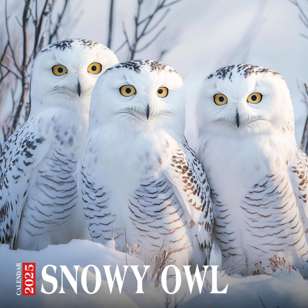 Snowy Owl Calendar 2025: Monthly Planner Highlighting the Elegant and Majestic Snowy Owl
