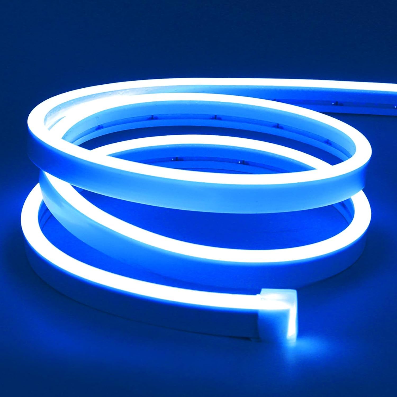 See full amazon price history chart for fabsouk Flexible LED Neon Strip Rope Lights, 12V Adaptor, IP65 Waterproof, Silicone Neon Rope Light, 50 cm, Cuttable String, Indoor/Outdoor Decor (Blue, 5 Meter) fabsouk Flexible LED Neon Strip Rope Lights, 12V Adaptor, IP65 Waterproof, Silicone Neon Rope Light, 50 cm, Cuttable String, Indoor/Outdoor Decor (Blue, 5 Meter) (B0DFYDRLK4) Amazon Price History, Amazon Price Tracker