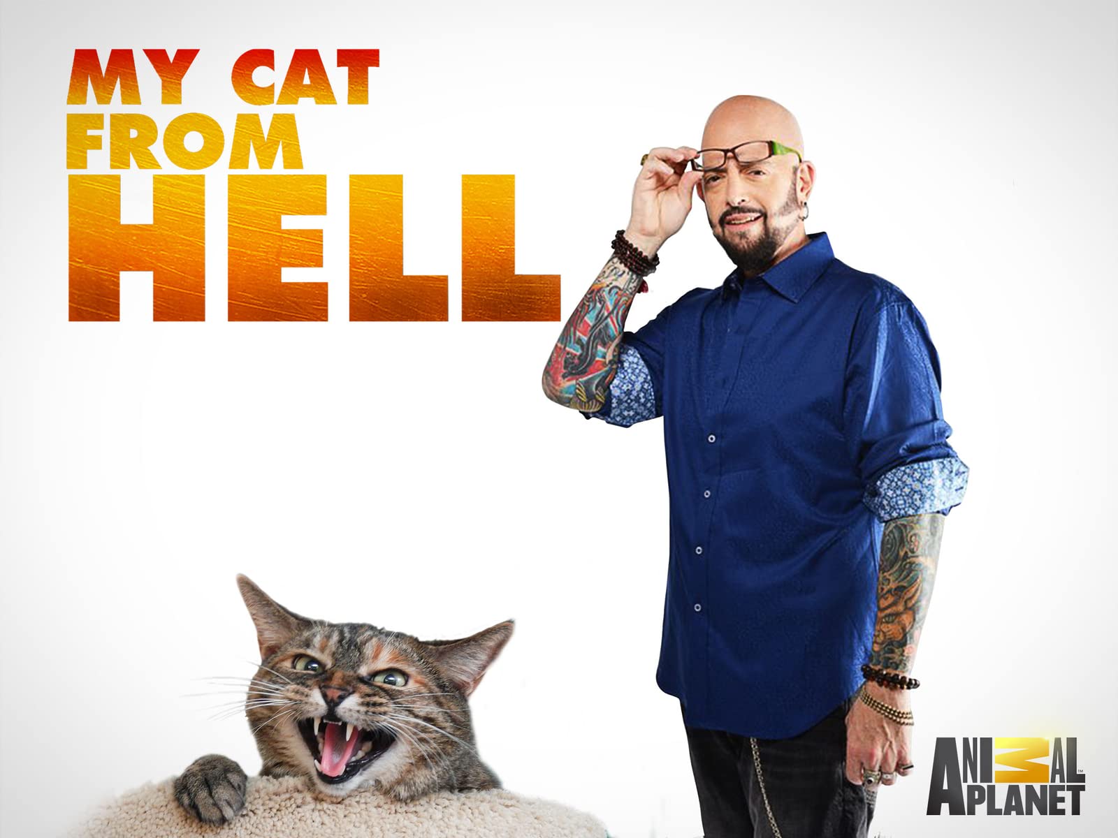 My Cat From Hell Season 9