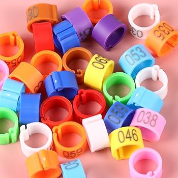 Pack Of 100 Pcs   ,Bird Rings Multicolor Colorfu Leg Bands For Pigeon Parrot Finch Canary Hatch Chicks Bantam Poultry Bayonet