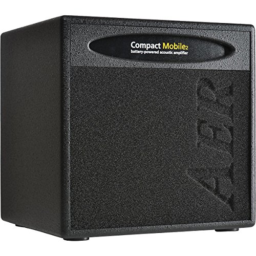 List of Top Ten Best Aer Acoustic Amplifiers [Top Picks 2023 Reviews]