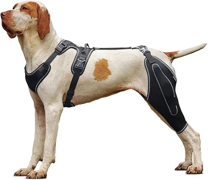 Dog Knee Brace for Torn Acl Hind Leg with With Metal Splint Hinged Support, Dog Leg Brace Support for Cruciate Ligament Injury, Dog Back Brace for Osteoarthritis, Recovery After Surgery,XL