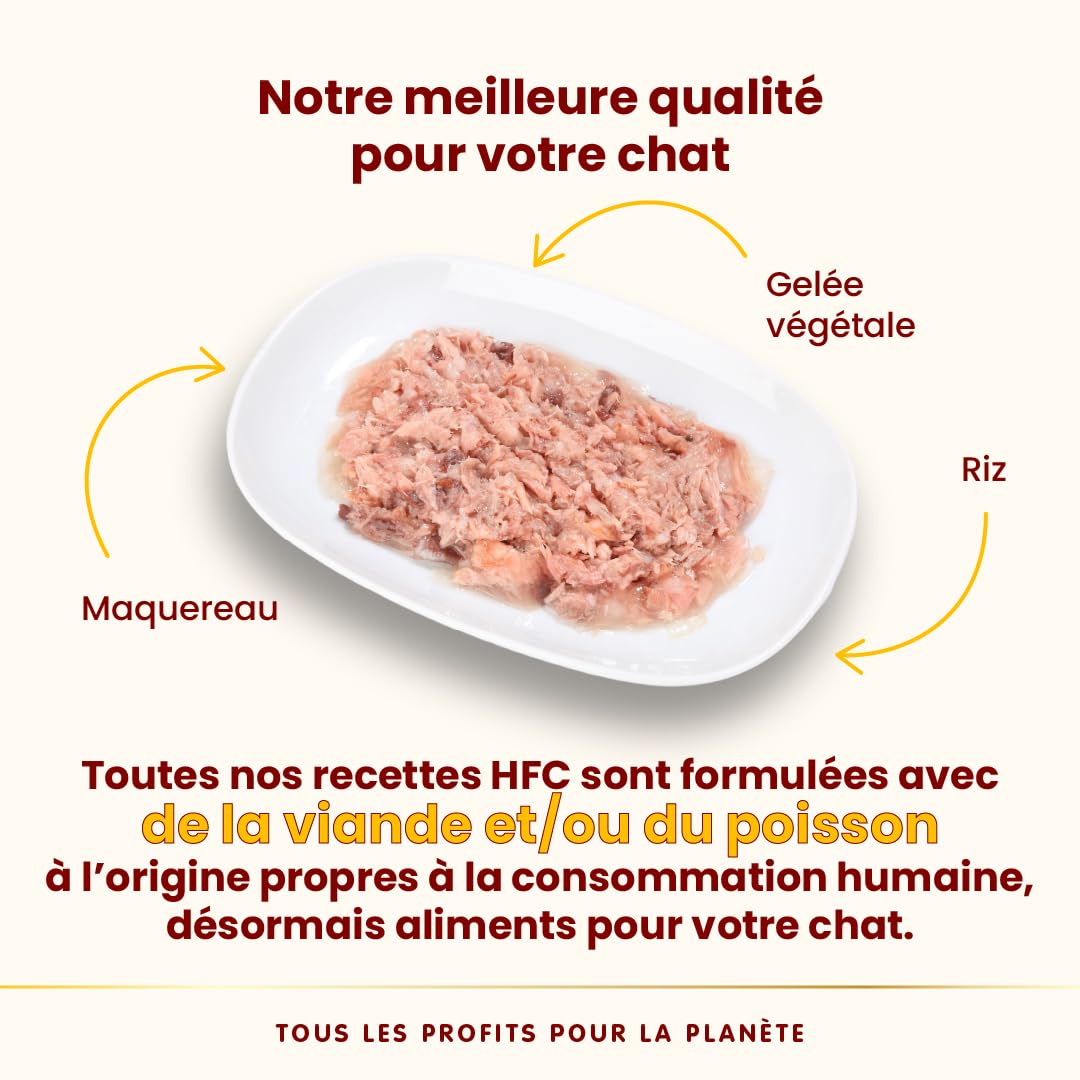 Almo Nature HFC Jelly – Nourriture Humide pour Chats Adultes – Maquereau – 55 g, Lot de 24 Sachets