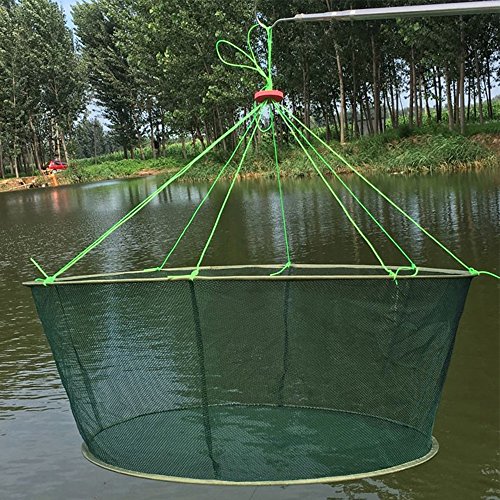 Portable Folded Fishing Net Fish Shrimp Minnow Crayfish Crab Baits Cast Mesh Trap Automatic (Diameter:39.4inch/100cm)