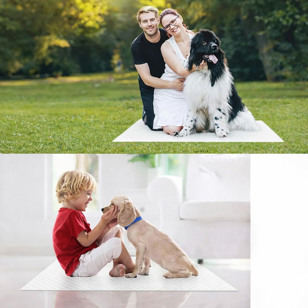 Valle Verde 200 Stück Trainingsunterlagen für Hunde Welpen 60 x 60 cm Einweg-Hundepads Hygieneunterlagen für Haustiere Katzen Trainingspads - 5-lagig, Auslaufsicher & Saugfähig