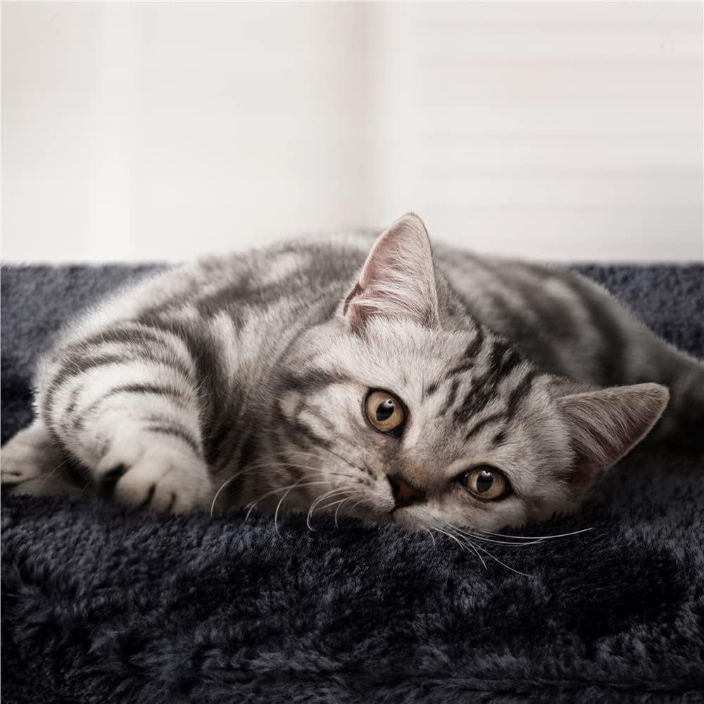 Topeakmart 33in Cat Tree Cat Tower Cat Scratching Posts Modern Bed Furniture for Indoor Cats and Kittens as Pet House Activity Center with Warm Condo, Fluffy Nest, Large Platform, Comfy Basket