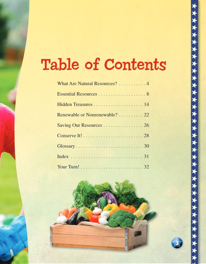 Our Natural Resources (Social Studies Readers : Content and Literacy) - Image 3