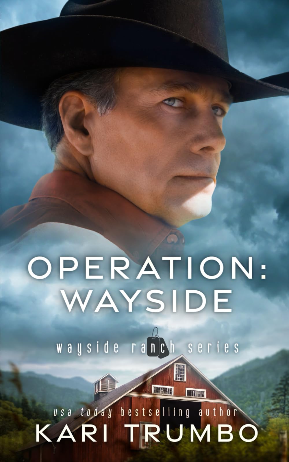 Operation: Wayside: The second-chance romance of Teddy Kincade (Wayside Ranch)