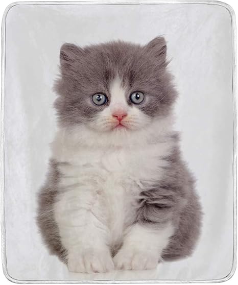 kitten throw blanket