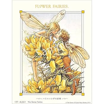 妖精　薔薇のパンプスとフラワーフェアリー 91J9ryLFM8L._UF350,350_QL50_.jpg