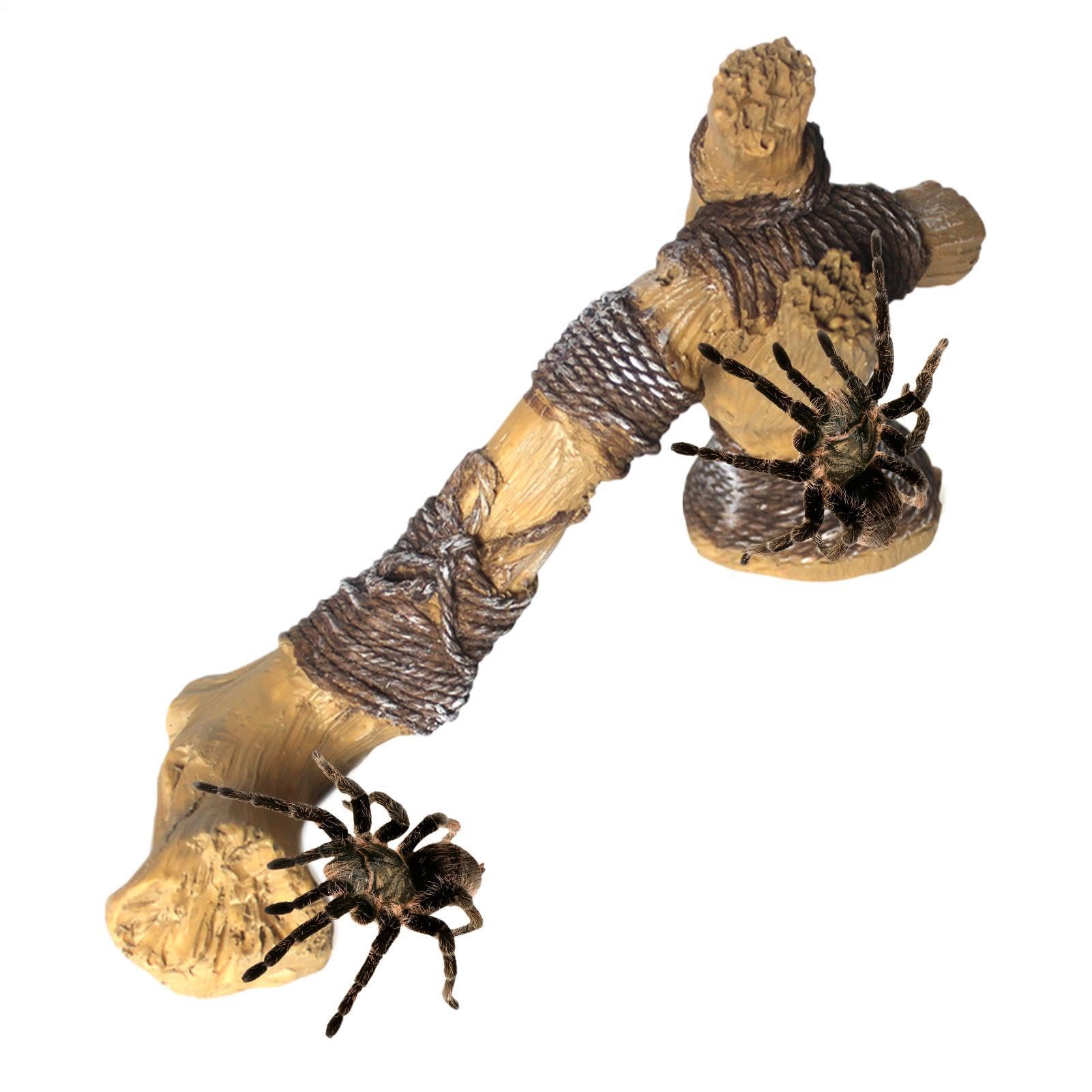 Branche d'escalade pour reptile imputrescible pour décoration d'aquarium durable