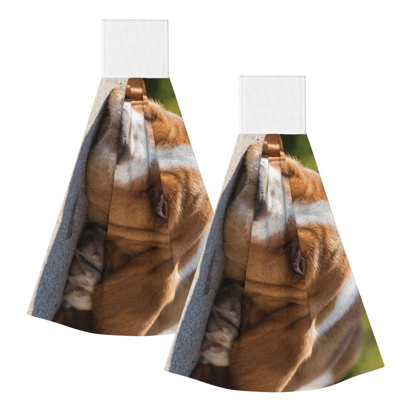 DOPKLNA Basset Hound Pattern, 2 Pcs Hanging Coral Fiber Hand Towels for Bathroom, Absorbent Kitchen Towels