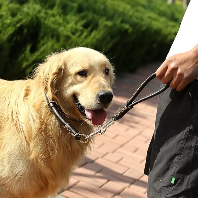 Foto 5 de 8 de Correa de piel para perros de 50 cm, con amortiguador para labrador, golden retriever, husky, bulldog, beagle
