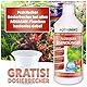 AQUASAN Aquarium FerroMax Flüssiger Eisendünger Plus (Versorgt Aquarium Pflanzen mit dem Nährstoff Eisen für sattgrüne, leuchtendrote Farben), Inhalt:0.5 Liter