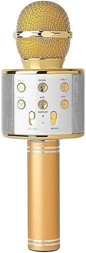 ABCCS Tragbarer Karaoke-Player fA r kabelloses Mikrofon