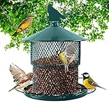 Metal Bird Feeder for Outside Hanging, Bird Feeders Squirrel Proof, 4 Lbs Capacity, Iron Mesh Wild Outdoor Birdfeeder with 6 Perches for Finch Cardinals- Green