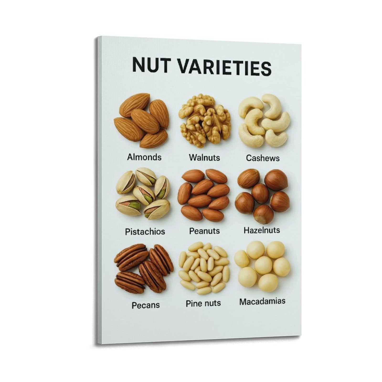 XKUGA Kids' Science Nuts Types Guide Poster Modern Decorative Canvas Prints - Ideal Wall Art for Family, Man Cave, Game Room, Boys & Girls Bedroom 24x36inch(60x90cm)