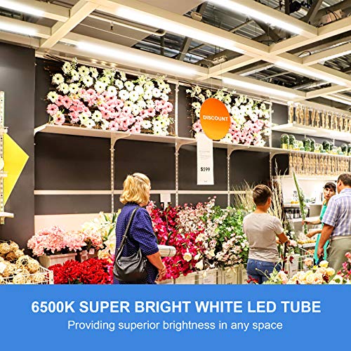 Image of Phiwicsh 4FT T8 LED Shop Lights 10 Pack, 40W 5400LM 6500K, V Shape High Output Clear Cover, Plug and Play, Linkable, for Garage, Warehouse, Basement