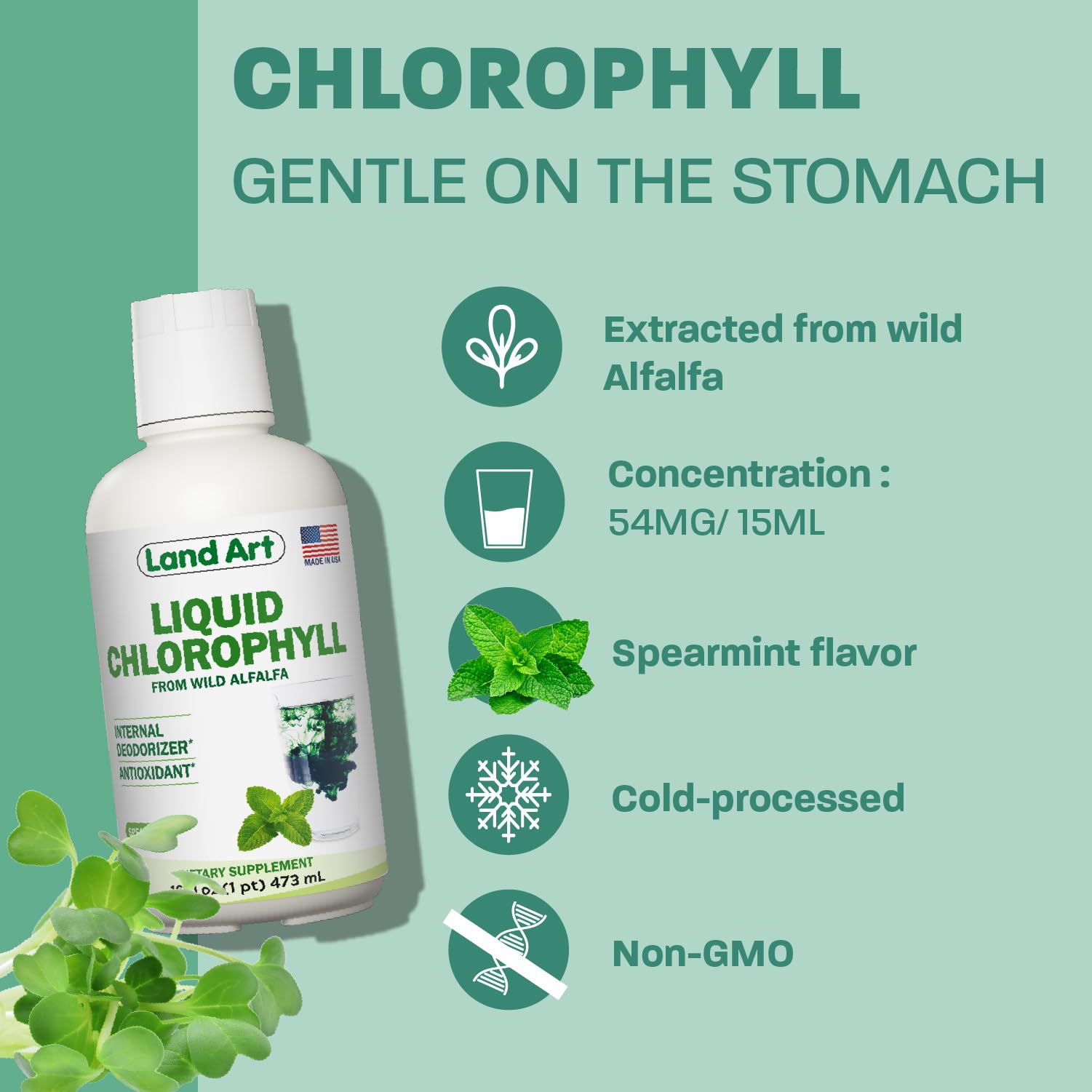 Chlorophyll, Cold-Extracted, Wild Alfalfa, Body Odor, Mint, 16 fl oz — Amazon image 5