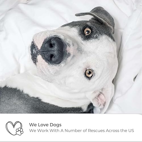 Miniatura 6 de Wooflinen Lujoso juego de funda de edredón de viscosa derivada de bambú California King, lazos en las esquinas, cierre de cremallera,