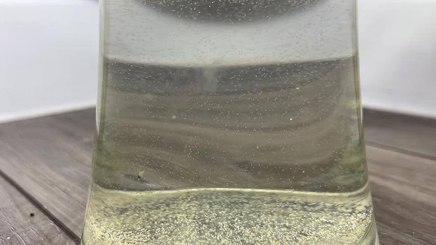 GreenWaterFarm Moina macrocopa eieren (watervlooien) Levend voer voor uitkomen en kweken, geschikt voor het voeren van Betta-vissen