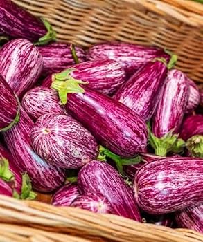 Amazon.com : TomorrowSeeds - Pandora Striped Rose Eggplant