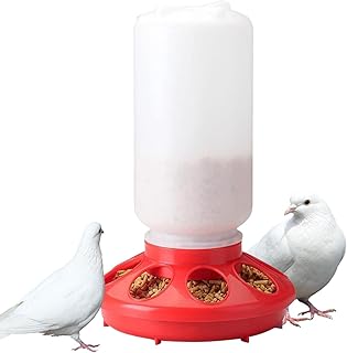 Quail Feeder - No Waste Duck Feeder Automatic Chicken Feeder - 1L Automatic Chicken Feeder, Efficient Portable Detachable Food Dispenser for Cockatiel Pigeon Chicken Quail Maidong
