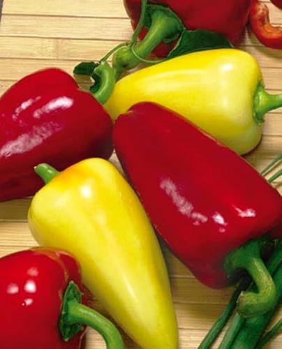 Miniatura 3 de Semillas Pimiento Dulce Ivengo No GMO Heirloom