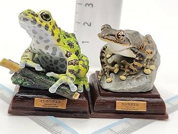 Amazon | ネイチャーテクニカラー 日本のカエル コレクション