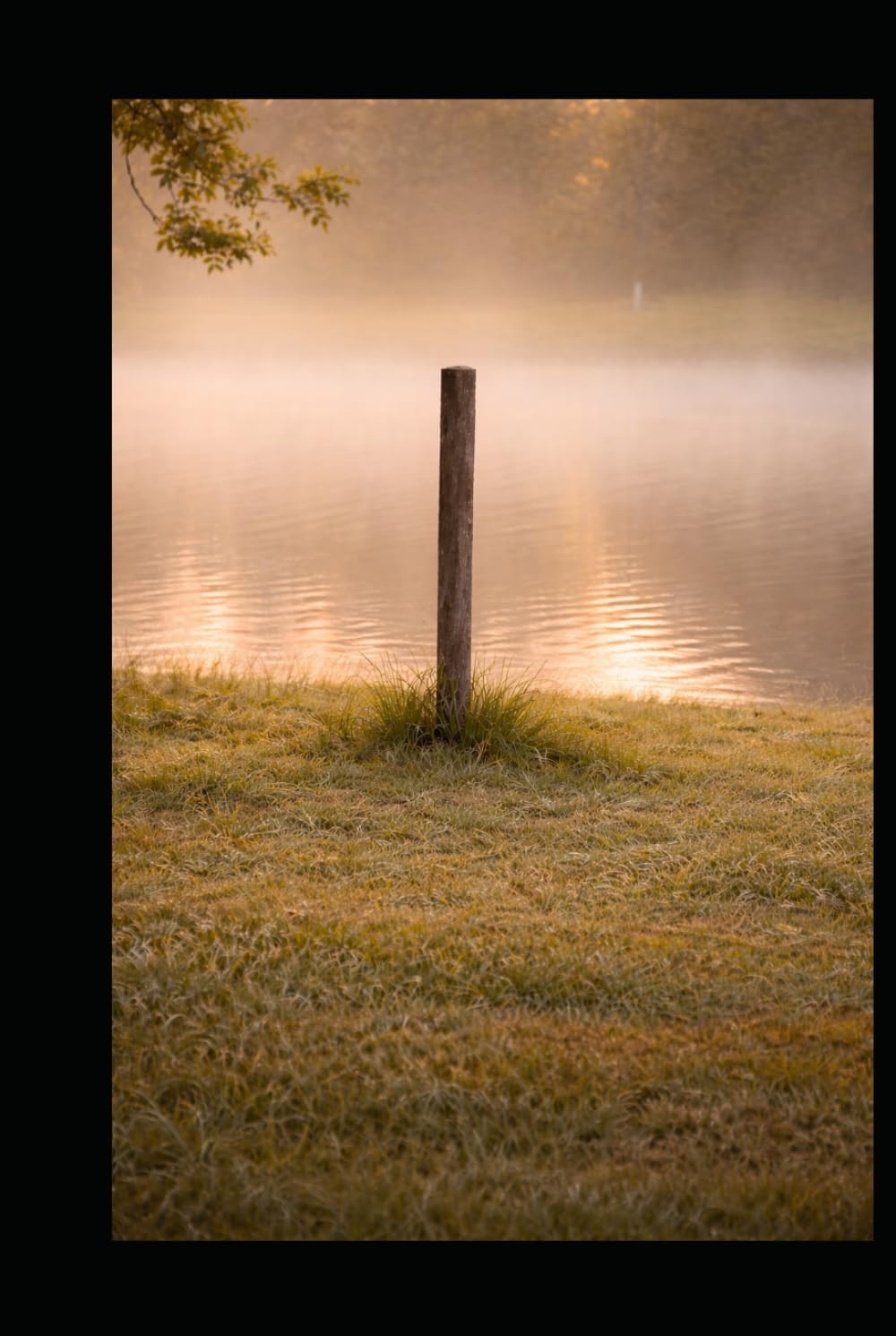 Seeing Clearly - A Devotional: Forty Days Toward Discernment