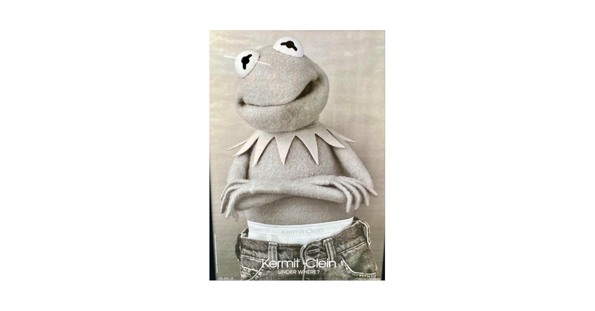 Amazon.co.jp: Kermit Cleinポスター カーミット カルバン