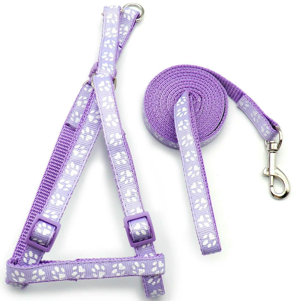 ZBDP - Juego de 24 correas ajustables para mascotas, coloridas correas personalizadas, para perros y gatos, entrenamiento para caminar