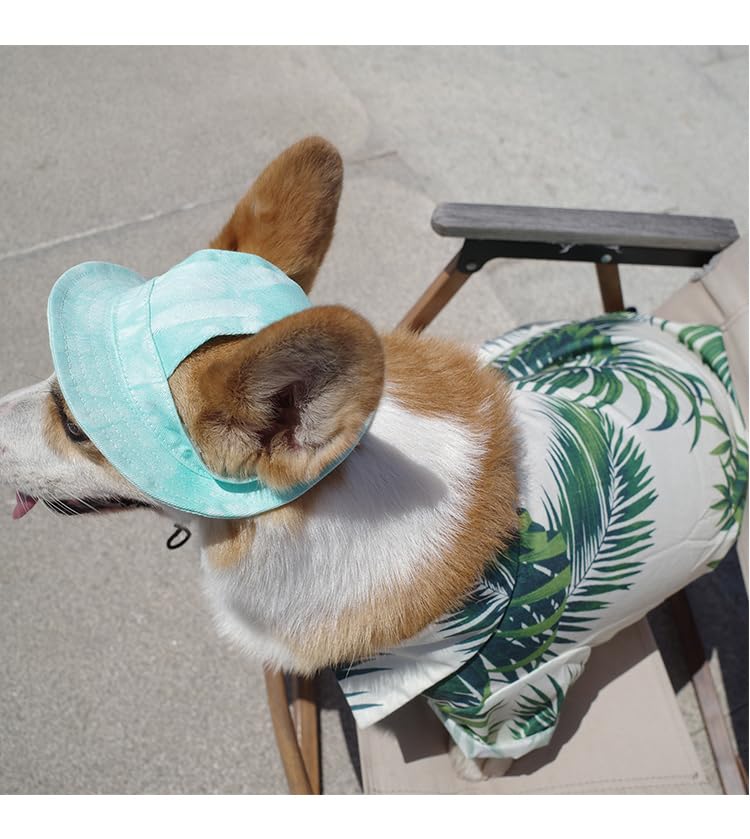 Image of HDKUW Dog Bucket Hats, Dog Round Cap with Ear Hole, Adjustable Outdoor Travel Sun Protection Sport Hat for Cat Small Medium Dogs Green M