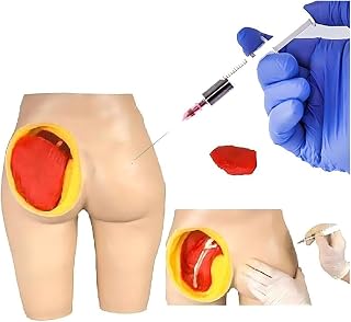 Human Body Model Teaching Model, Hip Injection Simulator, Detachable 4/1 Component Hip Joint Injection Training Simulator, 3 Injection Training Methods, Suitable for Schools, Hospitals, and Training