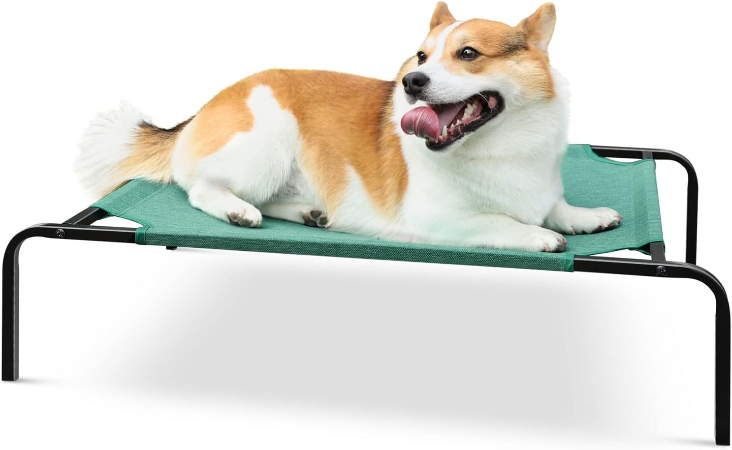 Elevated Dog Beds for Medium Dogs Indoor Outdoor Dog Bed