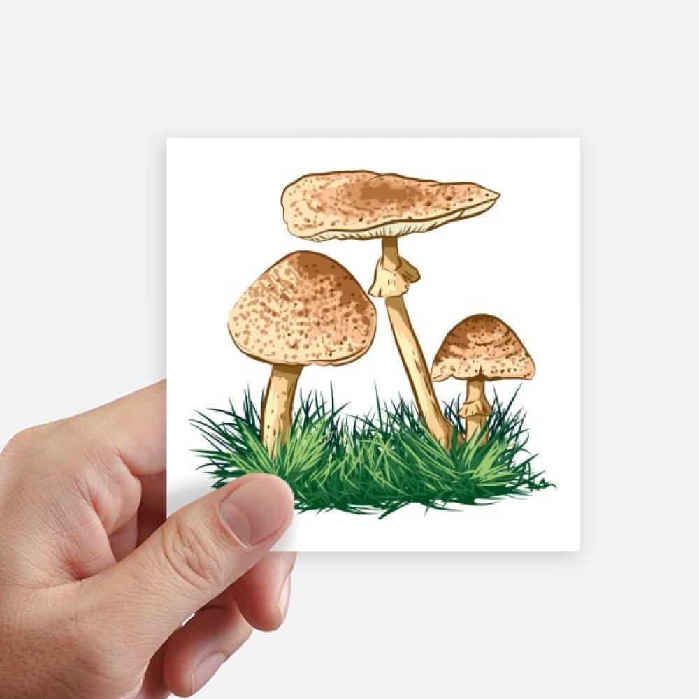 Autocollant carré plante verte mignon truffe 10cm déco multi-usage 8pcs