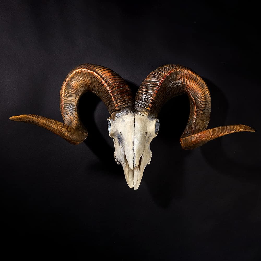 Aries XXL Wall Sculpture - Vintage Art - 64 x 37 cm - wall-mount Decor Skull - Rustic Look