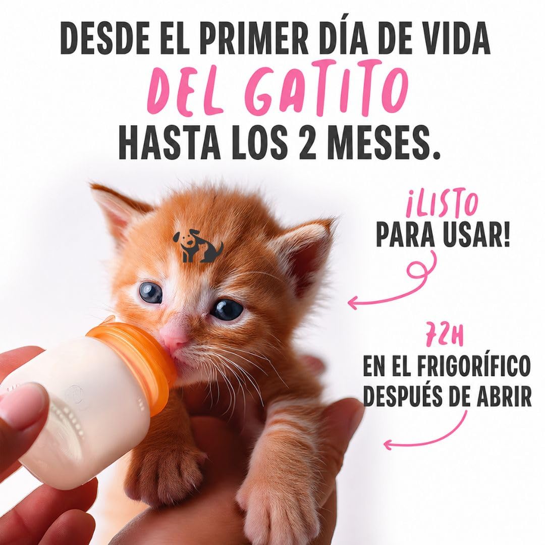 ANIMALUJOS - Kit Lactancia Gatitos con 6xLeche de Cabra Schesir 150ml Incluye Biberón Tetina Cepillo, Alimento Completo Sin Cereales con DHA Taurina para Cachorros Recién Nacidos