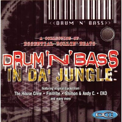 Drum 'n' Bass In Da Jungle