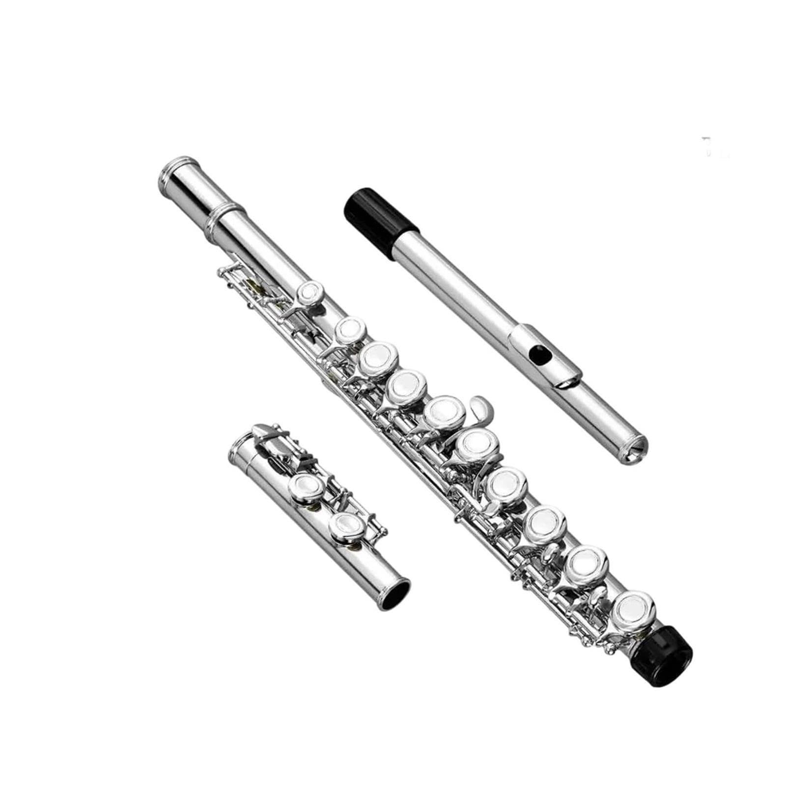 Flute Flauta C de 16 hoyos
