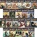 Brian Jacques Redwall Series Set (Book 1-20): Redwall; Mossflower; Mattimeo; Mariel of Redwall; Salamandastron; Martin the Warrior; Bellmaker; Outcast of Redwall; Pearls of Lutra; Long Patrol; Marlfox; Legend of Luke; Lord Brocktree; Taggerung; Triss