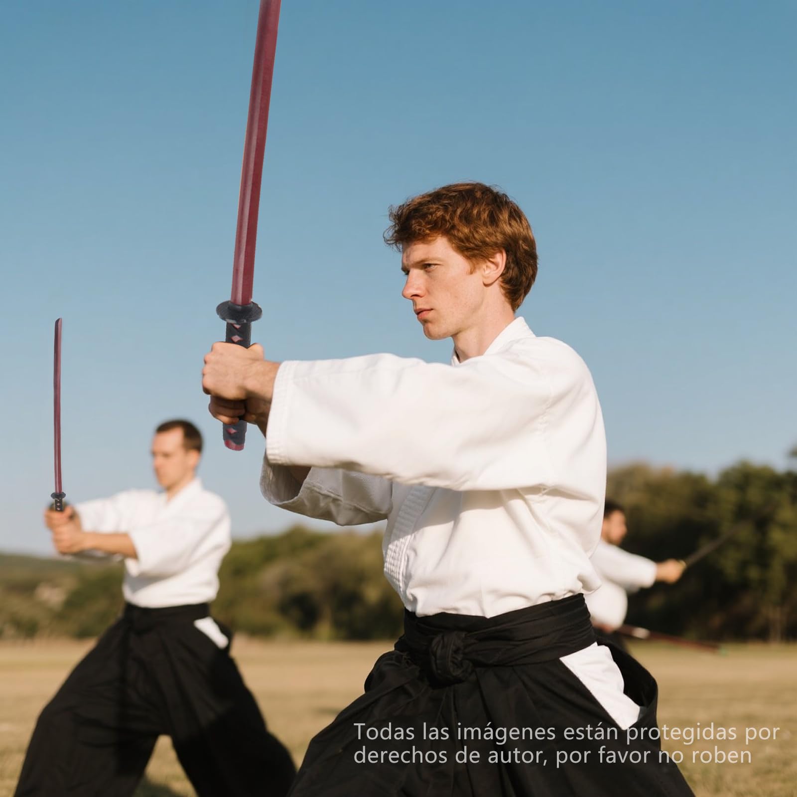 Holz Katana Schwert, Bokken Kendo-Schwertkampf-Training, Samurai Schwert, Rollenspiel Cosplay Iaido-Bokken