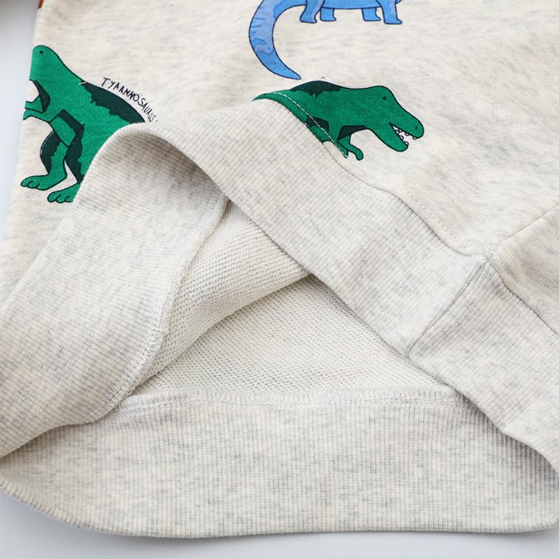 Irsutey Toddler Boys Crewneck Sweatshirts Cotton Dinosaur Cartoon Pattern Long Sleeve Casual Trendy Pullover Tops 1-7Y4