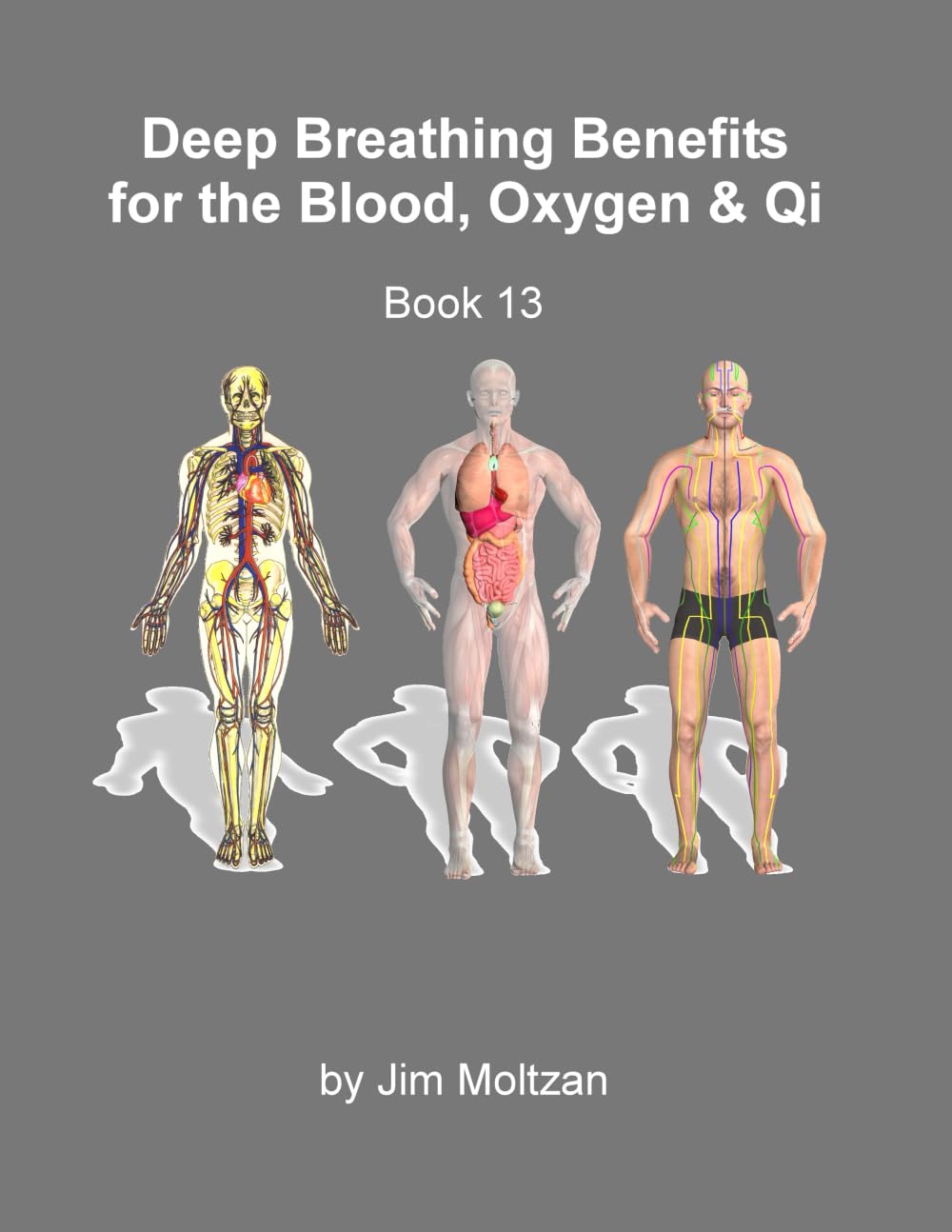 Book 13-Deep Breathing Benefits for the Blood, Oxygen & Qi (Internal Arts & Energy Cultivation Series (Tai Chi, Qigong, Dao Yin, Energetics))
