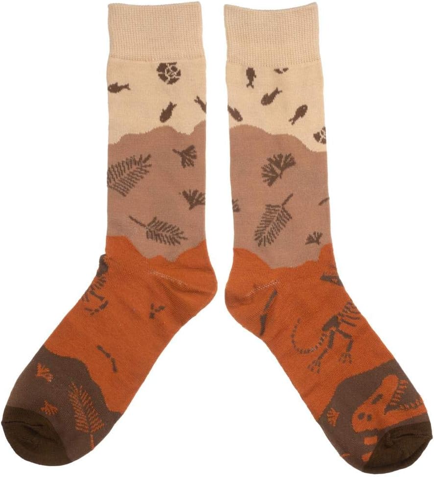 Dinosaur Fossil 3 Pair Crew Box Set - Image 4