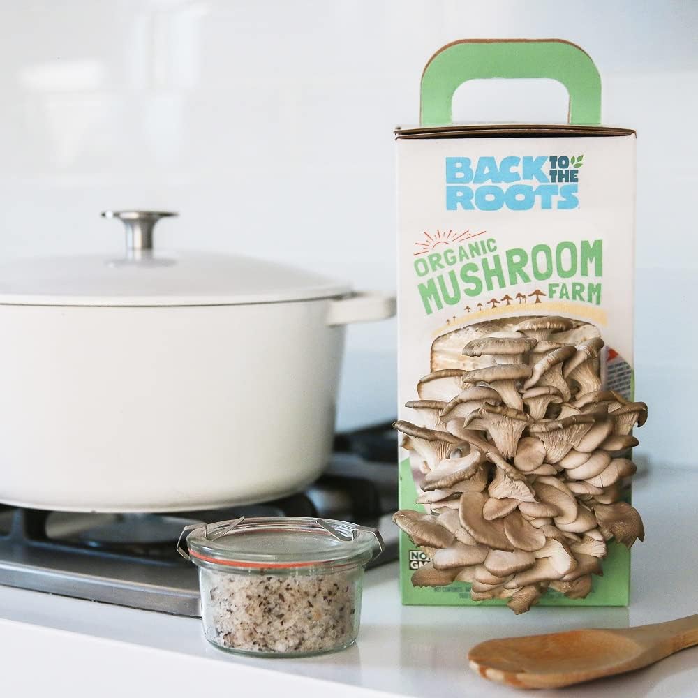 Back to the Roots Organic Mushroom Grow Kit 3-Pack: Oyster, Oyster & Pink-Harvest Gourmet Mushroom in Just 10 Days