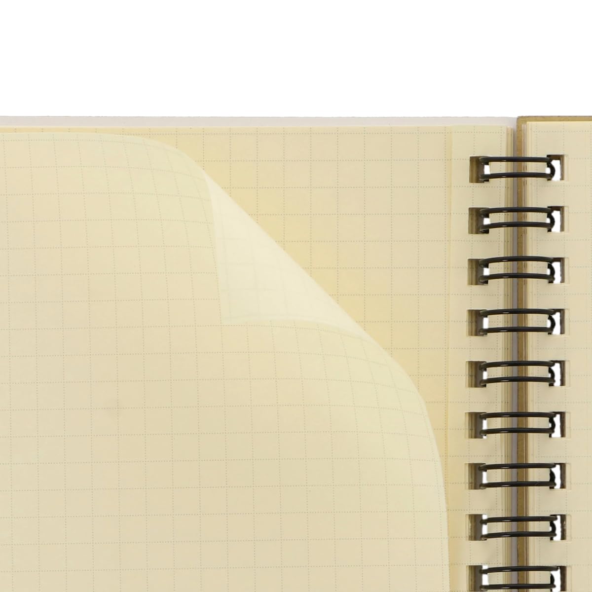 Amazon.co.jp: [デルフォニックス] ロルバーン ポケット付メモ