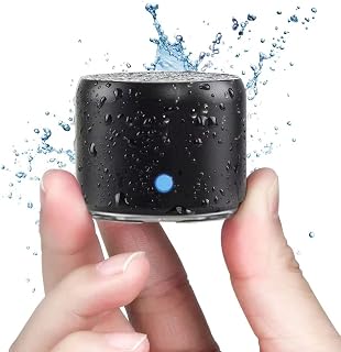 EWA A106 Pro Portable Bluetooth Speaker: IP67 Waterproof Mini Speaker with Bass Radiator, Travel Case, 8Hr Battery - Black