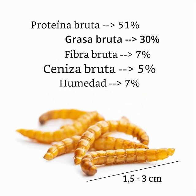 Foto 4 de 4 de UGF - Gusanos de harina Premium 6,5 litros